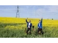 Download Lagu Tom Rosenthal - Us (Official Music Video)