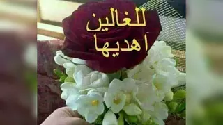 احلا صور مساء الخير 