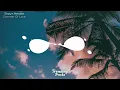Shawn Mendes, Tainy - Summer Of Love (Lyrics)