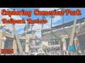 Exploring Comerica Park A Complete Ballpark Adventure in Detroit Michigan