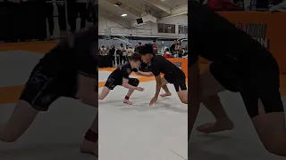 إلى أي مستوى يمكنك النزول مصارعة فنون قتالية جيوجيتسو نوغي شورت 