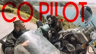 The Best Copilot – Detour 10