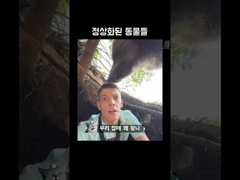 정상화된 동물들
