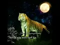 Download Lagu (story whatsapp)macan