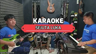 Download SEJUTA LUKA KARAOKE NADA COWOK Rita Sugiarto MP3
