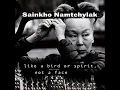 Download Lagu Sainkho Namtchylak - The Road Back