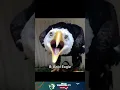 Download Lagu Suara Burung Ini Langsung Dari Mimpi Buruk 🐦🔪