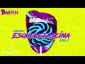 Download Lagu DJ Dasten - Esquelefascina Vol1 MP3