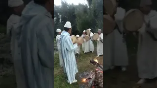 أحواش نايت تدرارت إقليم الحوز نواحي اوريكا الفلكلور المغربي 