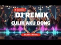 Lagu DJ Culik Aku Dong – Viral TikTok Remix 2025 🎧💥