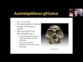 ANTHR 1-Ch 10-05 Gracile Australopiths
