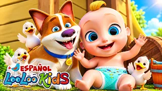 🐮 Los Sonidos de los Animales y Los Pollitos | 30 Minutos de Canciones Infantiles
