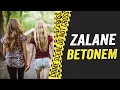 Download Lagu Zniknęły na tej samej ulicy. Prawda była zakopana pod betonem