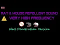 Download Lagu ⚠️(Wall Penetration Version) 🚫🐀🐁 Rat \u0026 Mouse Repellent Sound Very High Frequency (6 Hour)