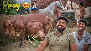 Bhagwan Sab Kuch Theek Krdena 🙏🏻Ready For Big Surprise 😍Countdown Start ...3 2 1