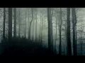 Download Lagu Dark Ambience - Horror Background Music 10 Hours