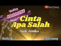 Download Lagu Cinta Apa Salah Anik Arnika Karaoke Tarling Nada Lanang