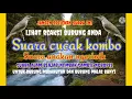 Download Lagu Suara Cucak kombo anakan || geriwik belajar nembak // masteran burung bahan dan burung malas bunyi