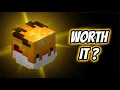 Is The Golden Dragon Pet Actually Worth It Hypixel Skyblock