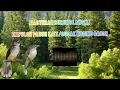 Download Lagu BURUNG LANGKA EMPULOH PARUH KAIT GACOR MASTERAN MP3 AUDIO