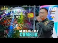 Download Lagu Gerry Mahesa - Camelia I Mahesa Music Live Duduksampeyan - Gresik