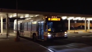 CTA NovaLFS New Bus Route 81 Lawrence