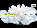 Elvy Sukaesih Bosan Mengalah Lirik Original