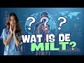 De milt: Alles wat je moet weten over dit bijzondere orgaan!