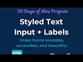 Day 8 Styled Text Input Labels HTML CSS in Action