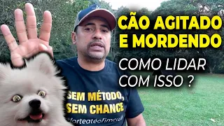 CÃO AGITADO E MORDENDO l FAÇA ISSO E TENHA UM CÃO MAIS EQUILIBRADO