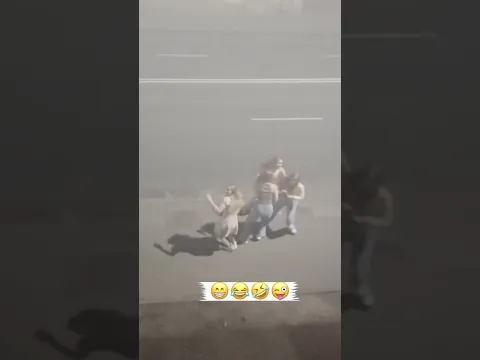 🥤😂 ¡SE BEBIÓ LA COCA Y LA LIÓ!🐶🤣 #Comedy
