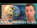 Lagu FIX Your Circadian Rhythm for Better Sleep, Balanced Hormones \u0026 Weight Loss