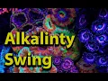 Lagu Reef Tank Alkalinity Swing