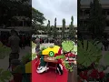Download Lagu Werkcollega's van wijlen Stephen Amoah betuigen hem hun laatste eerbetuigingen terwijl hij naar z...