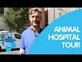 Virtual Tour of London Animal Hospital Blue Cross