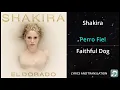 Download Lagu Shakira - Perro Fiel Lyrics English Translation - ft Nicky Jam