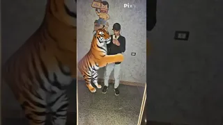 صاحب النمور النمر المفترس 