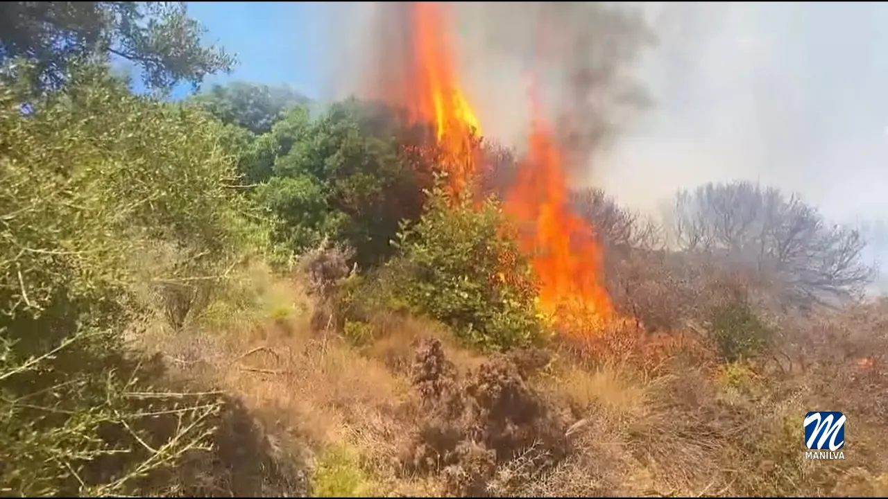 Peligro alto de incendios forestales