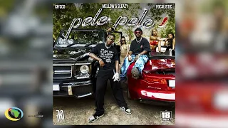 Download Ch'cco, Focalistic and Mellow \u0026 Sleazy - Pele Pele (Official Audio) MP3
