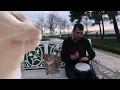 OIIA Cat x Ievan Polkka (OFFICIAL VIDEO)