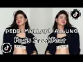 Download Lagu PEDDI MALLAPI ALLUNG | PUTRA ANDESLOW BUGIS BREAKBEAT TERBARU