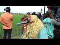 Download Lagu ANDI PUTRA 1   NYUSUBI WETENG  WINDA DS.SALAMDARMA BOGIS ANJATAN