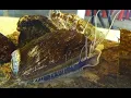 Facts The Abalone