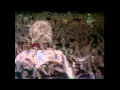 Download Lagu Queen - Radio Ga Ga (Live at Wembley 11.07.1986)