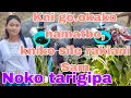 Download Lagu Kni go.okako namatani ,aro kni silatani nokoni Sam