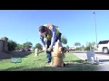 On the Job Hydrant Maintenance
