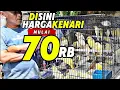 VLOG PASAR‼️Disini KENARI MELIMPAH harga mulai 70rb...