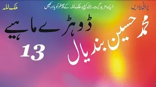 dohray mahiay 13 muhammad hussain bandial best punjabi saraiki original audio song