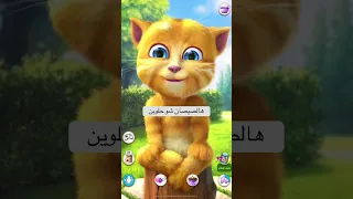 هالصيصان شو حلوين  صباح الخير  قطط دندنها
