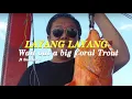 Download Lagu Malaysia Offshore - Layang Layang - Seastar 3
